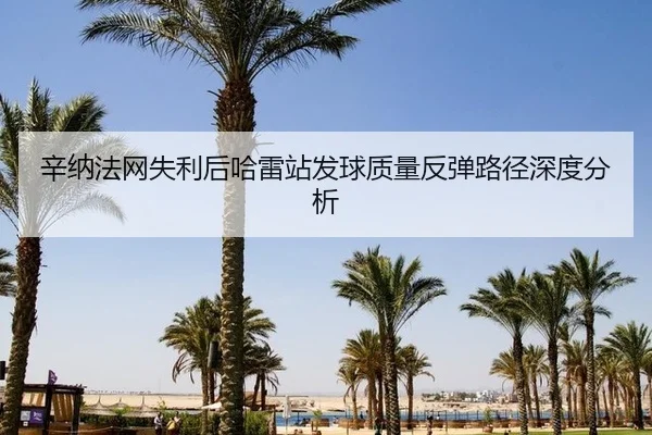 xin-na-fa-wang-shi-li-hou-ha-lei-zhan-fa-qiu-zhi-liang-fan-tan-lu-jing-shen-du-fen-xi-2-288.jpg